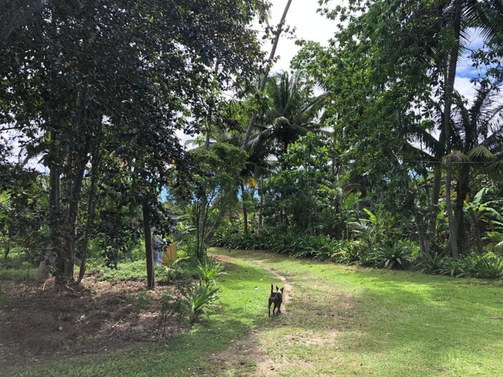 Siri Medura Surf Yoga Meditation Guesthouse And Hostel Weligama Esterno foto