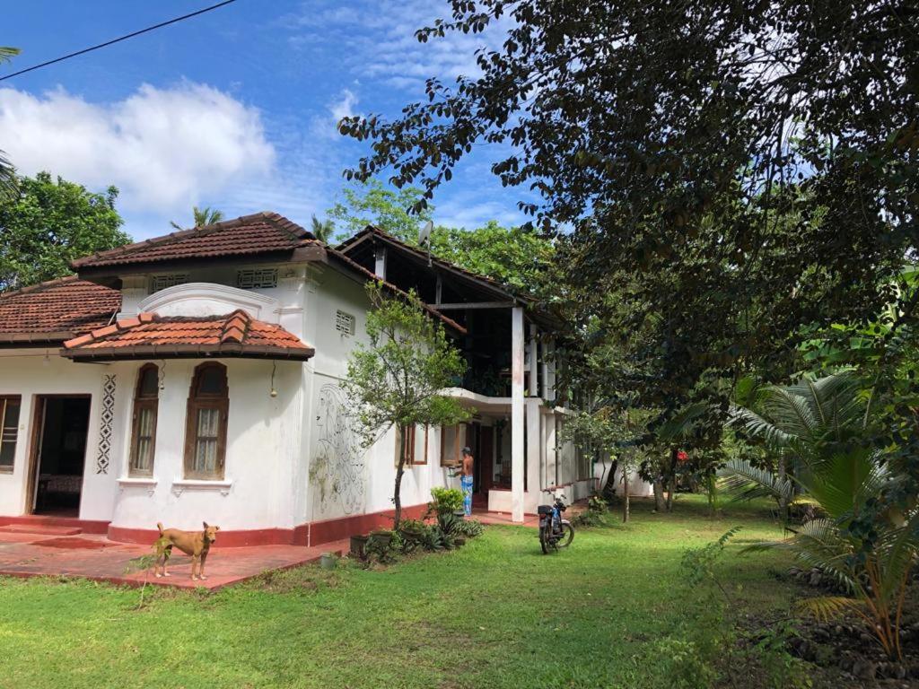 Siri Medura Surf Yoga Meditation Guesthouse And Hostel Weligama Esterno foto
