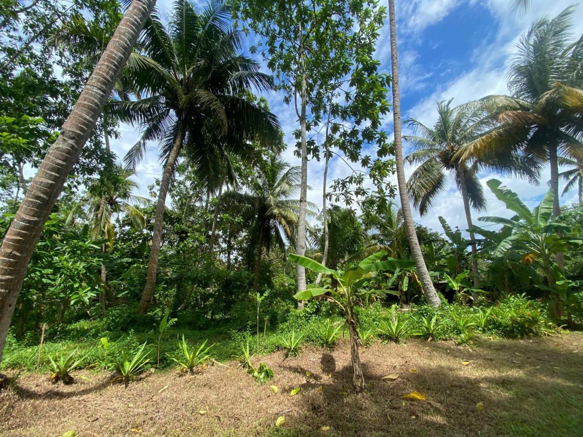 Siri Medura Surf Yoga Meditation Guesthouse And Hostel Weligama Esterno foto