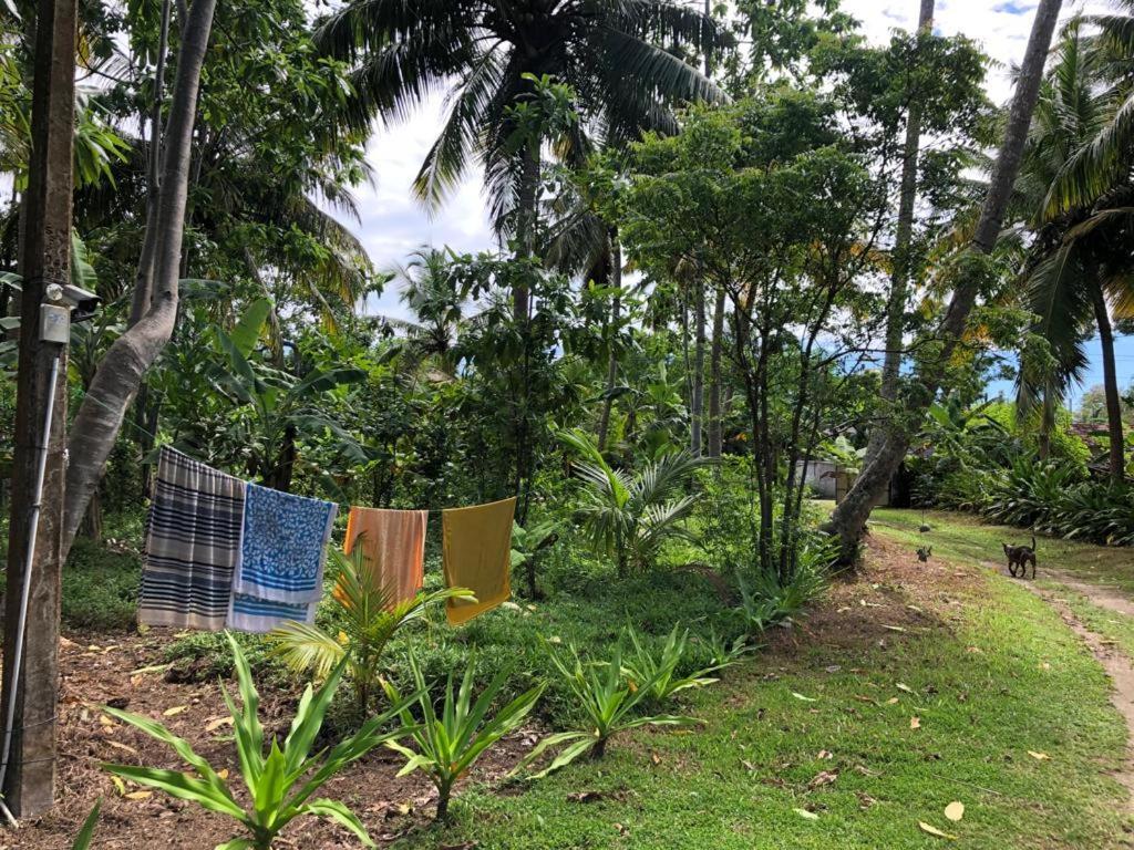 Siri Medura Surf Yoga Meditation Guesthouse And Hostel Weligama Esterno foto