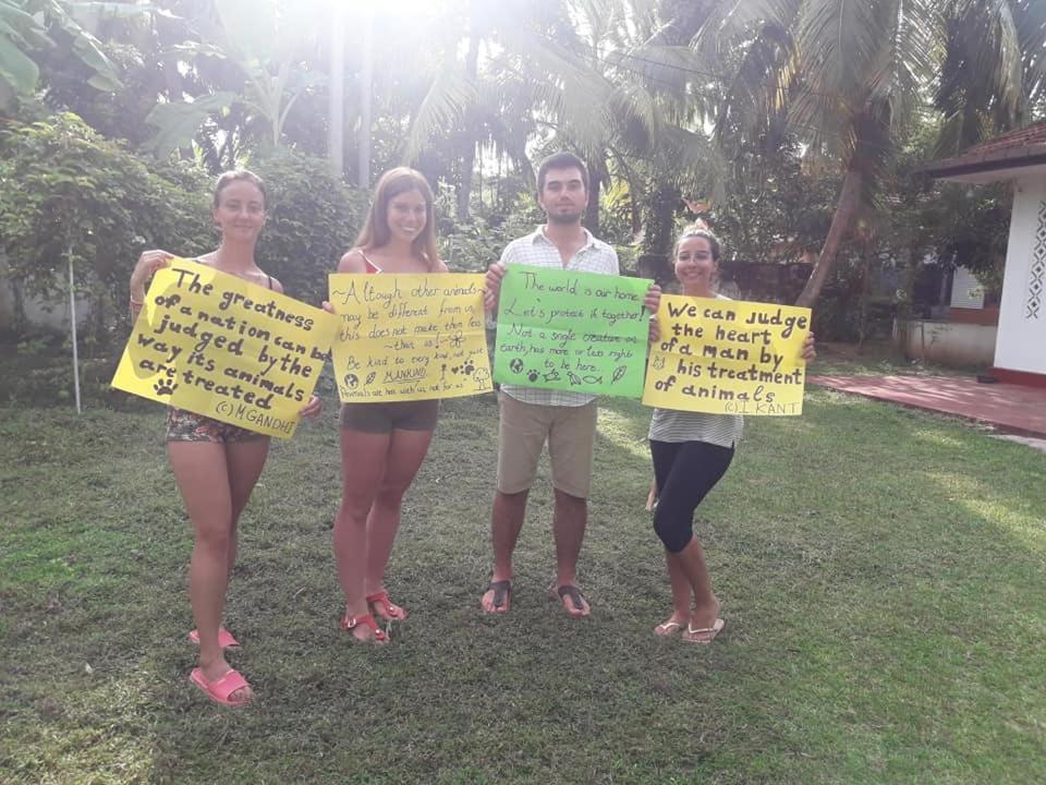 Siri Medura Surf Yoga Meditation Guesthouse And Hostel Weligama Esterno foto
